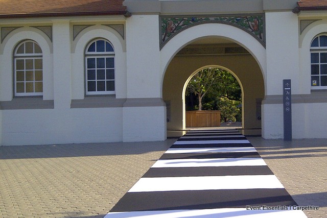 Black and White Striped Carpet, Taronga Zoo