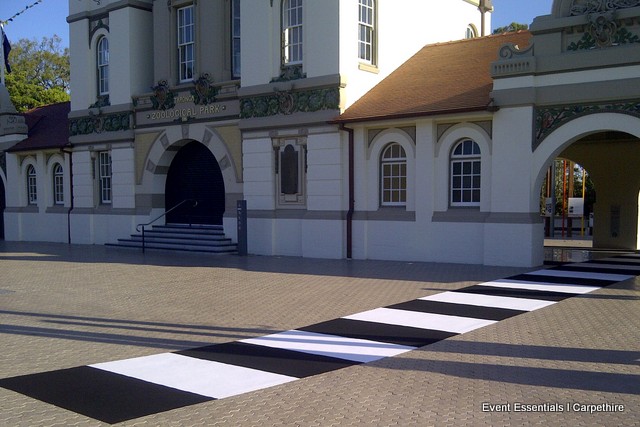 Black and White Striped Carpet, Taronga Zoo