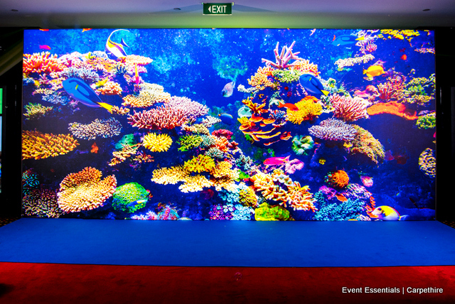 Internally-lit media wall, blue carpet and theming