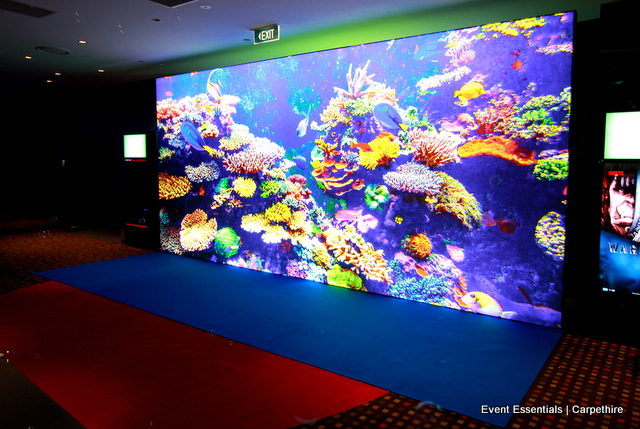 Internally-lit media wall, blue carpet and theming