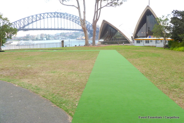 Green Carpet Photo Opportunity, Sydney