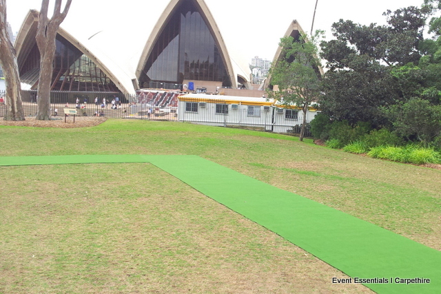 Green Carpet Photo Opportunity, Sydney