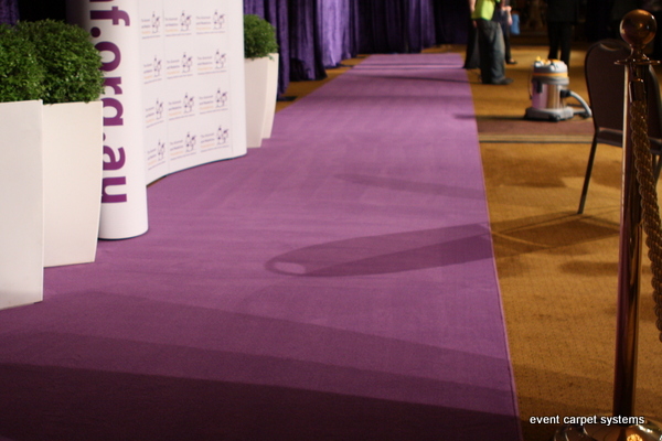 Purple Carpet Entrance: Annual Charity Ball